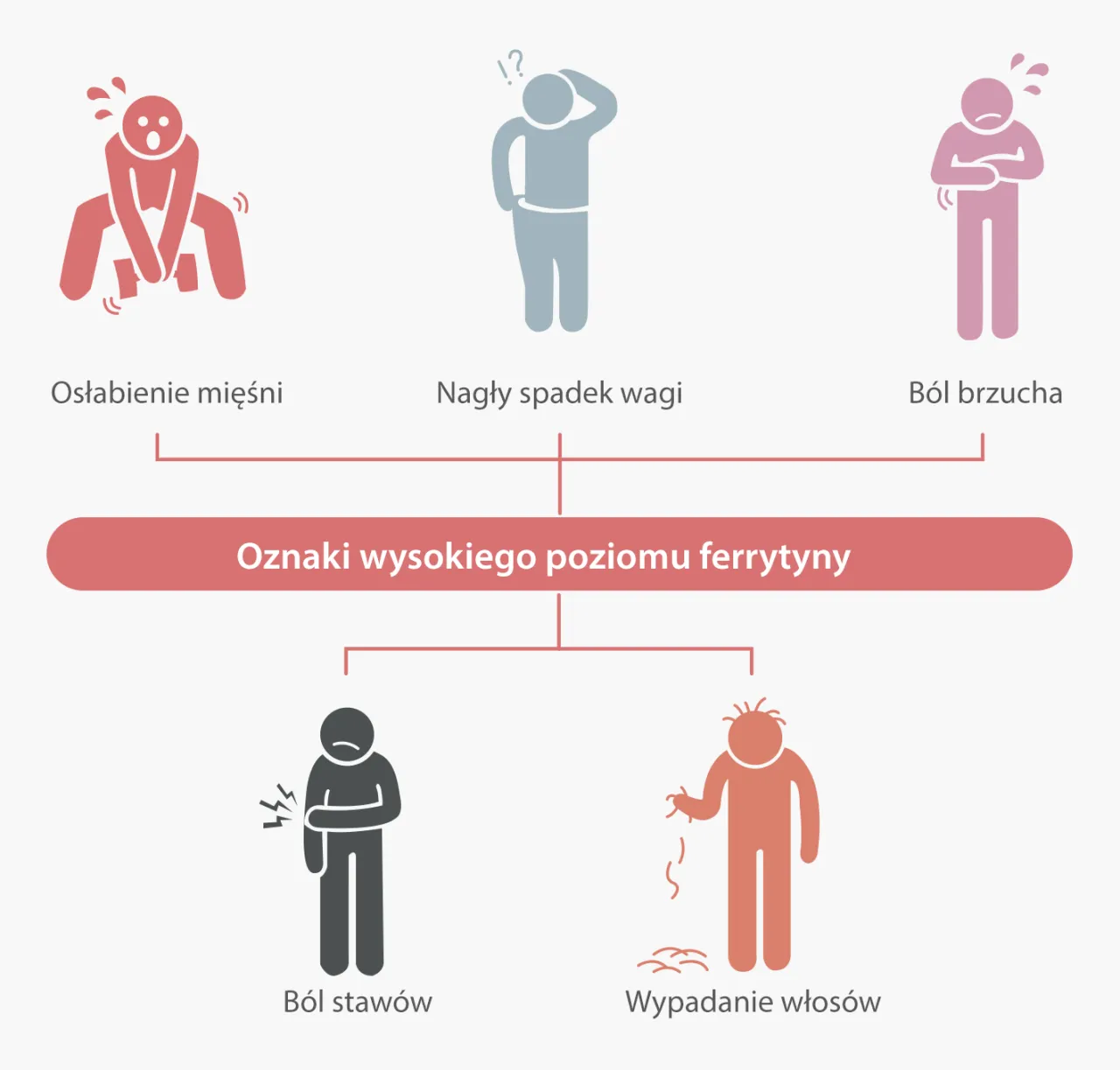 Schemat diagnostyki podwyższonej ferrytyny