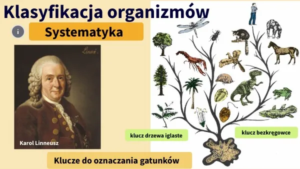 Karol Linneusz system klasyfikacji