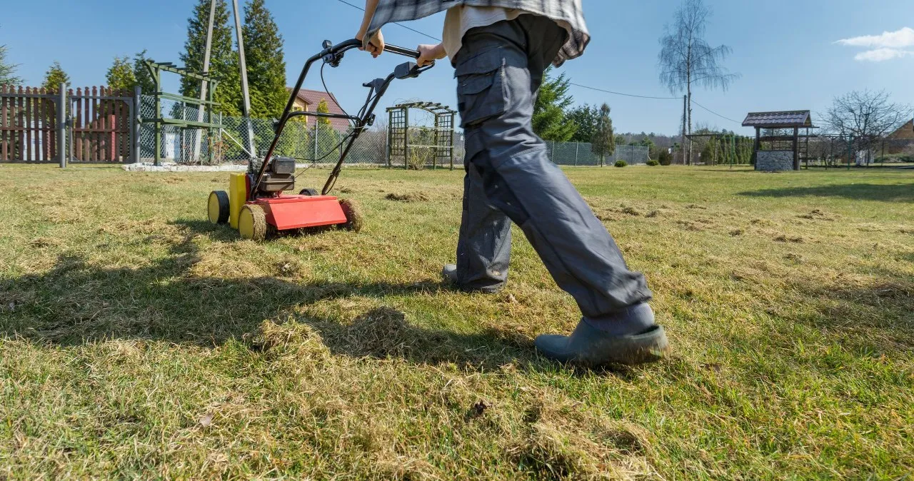 błędy wertykulacji trawnika uszkodzony trawnik