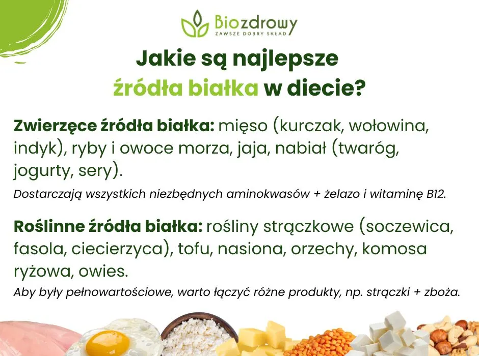najbogatsze źródła białka roślinnego infografika