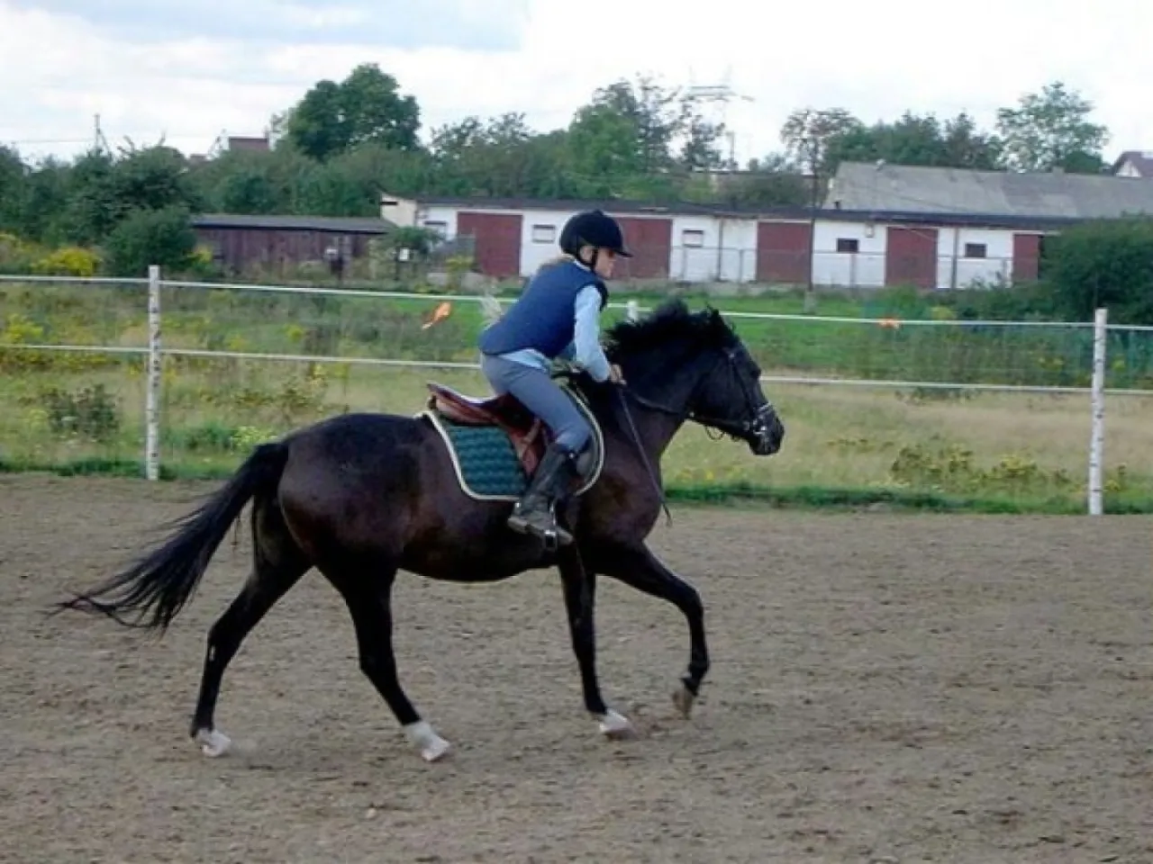 Najlepsze stadniny koni w Łodzi