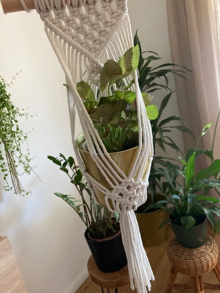 Zdjęcie Z czego zrobić kwietnik do domu: 8 inspirujących pomysłów DIY