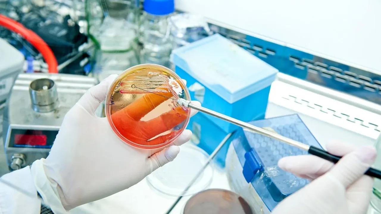 Laboratorium diagnostyczne pobranie wymazu