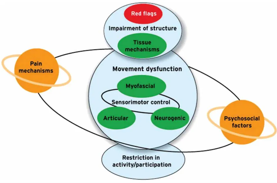 Czerwone flagi ból pleców