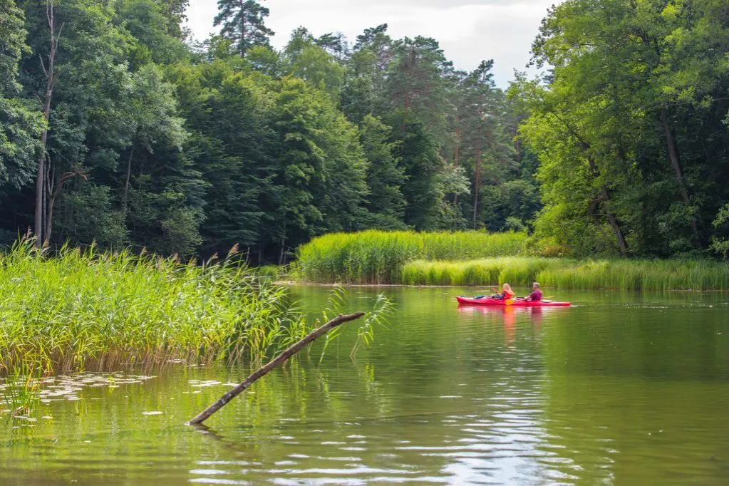 Atrakcje turystyczne Mazur: Twierdza Boyen, spływ Krutynią, park zwierząt
