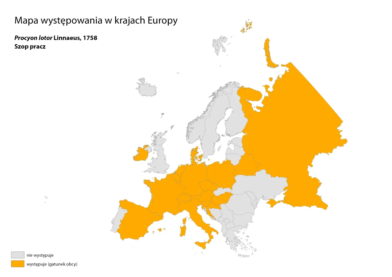 Mapa występowania szopa pracza w Polsce GDOŚ