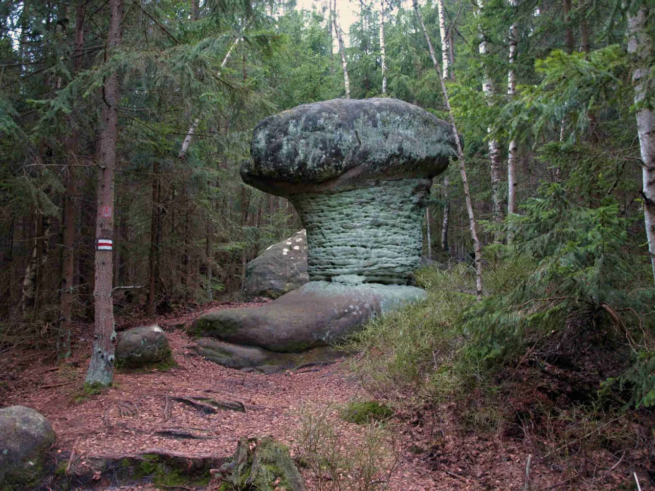 Skalne Grzyby Radkowskie Skały