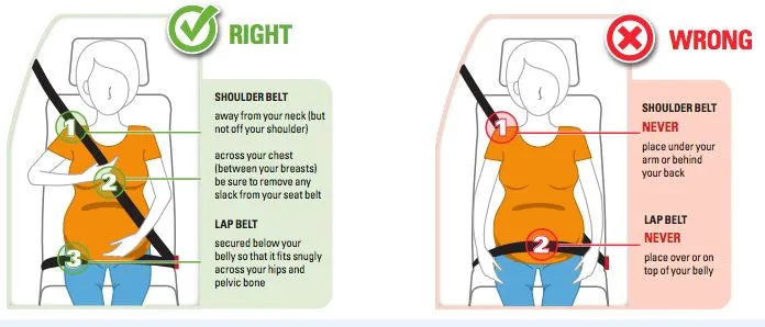 Prawidłowe zapięcie pas&oacute;w bezpieczeństwa schemat