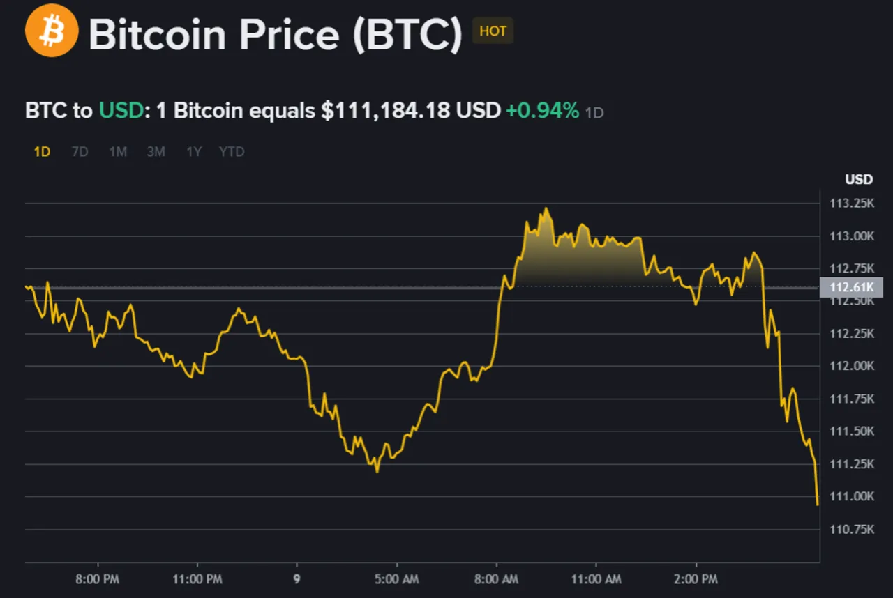 Wykres ceny Bitcoina (BTC) pokazuje wahania kursu, co może być pomocne przy decyzji, ile trzeba zainwestować w kryptowaluty.