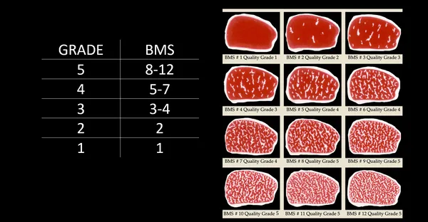 tabela klasyfikacji wołowiny wagyu A5 BMS