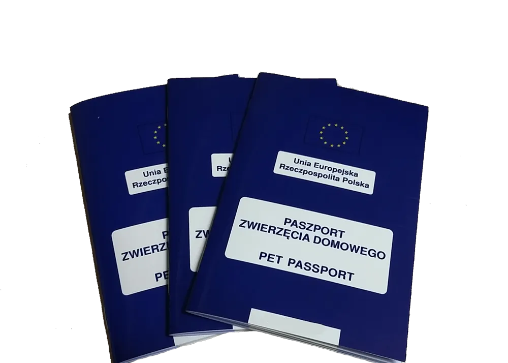 Weterynarz wydający paszport dla psa