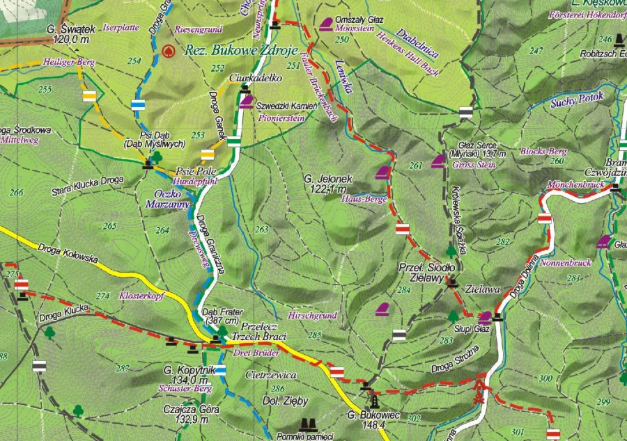 Mapa szlak&oacute;w Puszcza Bukowa