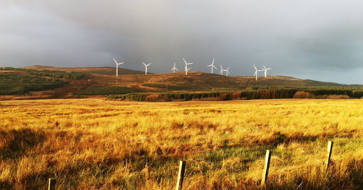 Mapa lokalizacji farm i elektrowni wiatrowych w Polsce 2023
