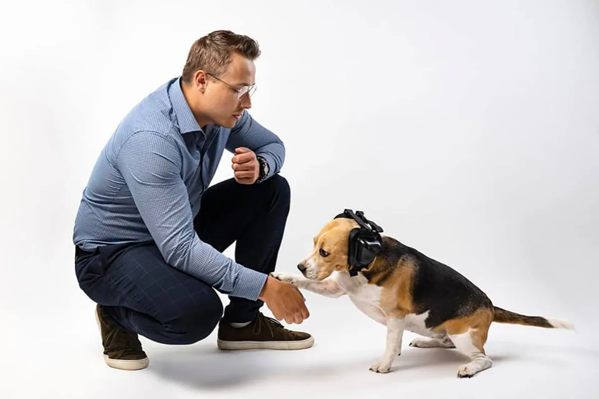 Pies słuchający człowieka