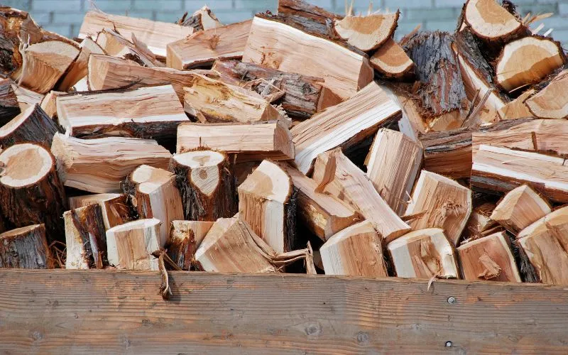 r&oacute;żne gatunki drewna opałowego i tartacznego