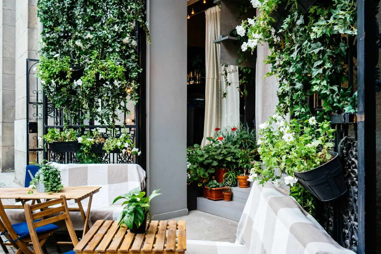 r&oacute;żne pnącza na balkon w donicach