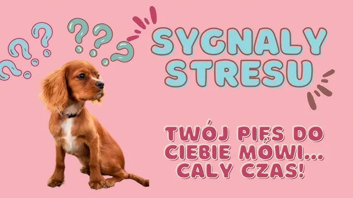 pies sygnały stresu