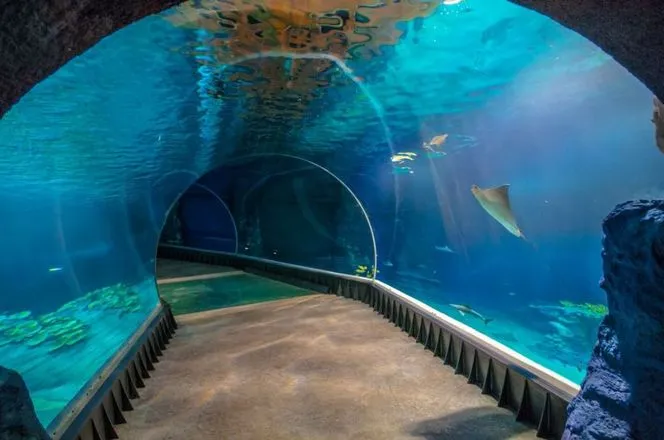 Afrykarium Wrocław wnętrze