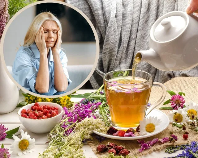 r&oacute;żne rodzaje herbat ziołowych na b&oacute;l głowy