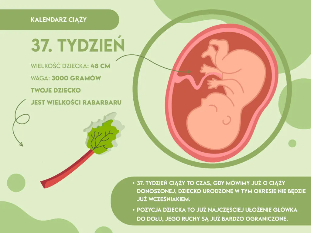Zdjęcie Ból brzucha w 37 tygodniu ciąży jak na miesiączkę – co oznacza?