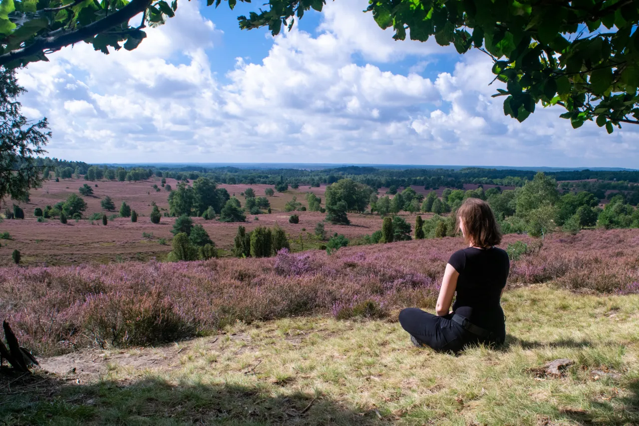 Pustać Lüneburska wrzosy Morze Wattowe