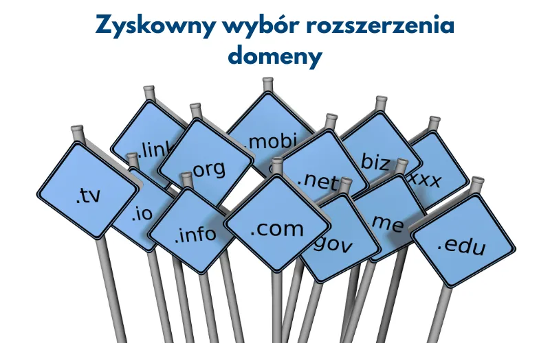 Wyb&oacute;r rozszerzenia domeny