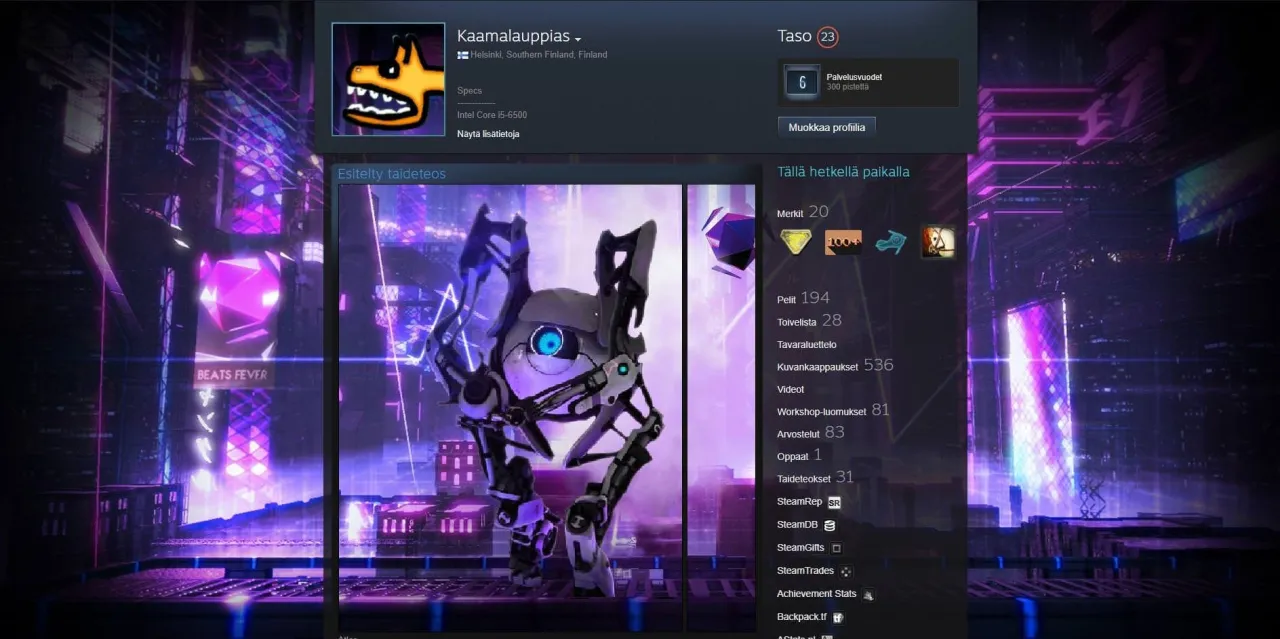 przykładowy spersonalizowany profil steam