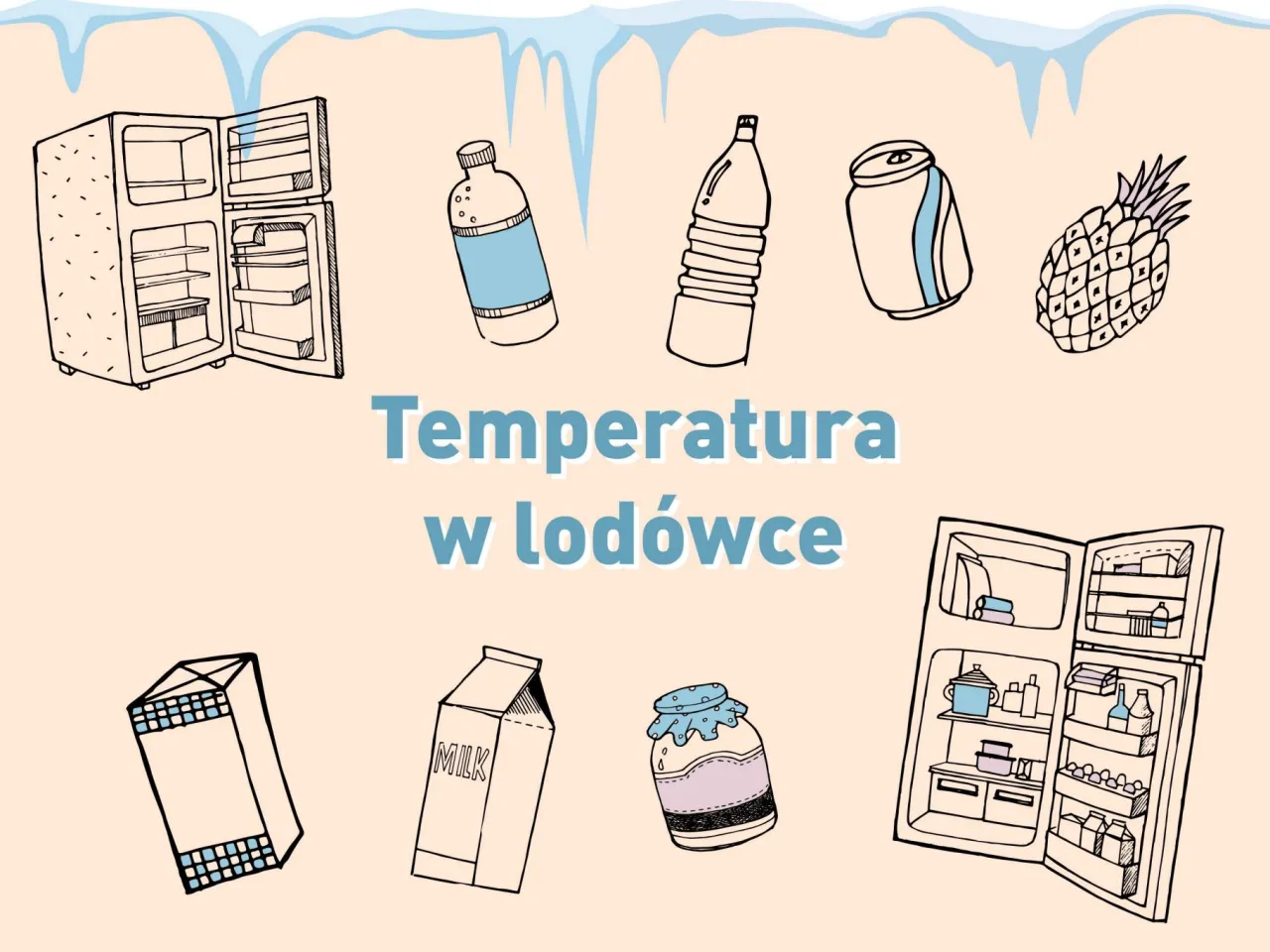 Strefy temperatur w lod&oacute;wce infografika