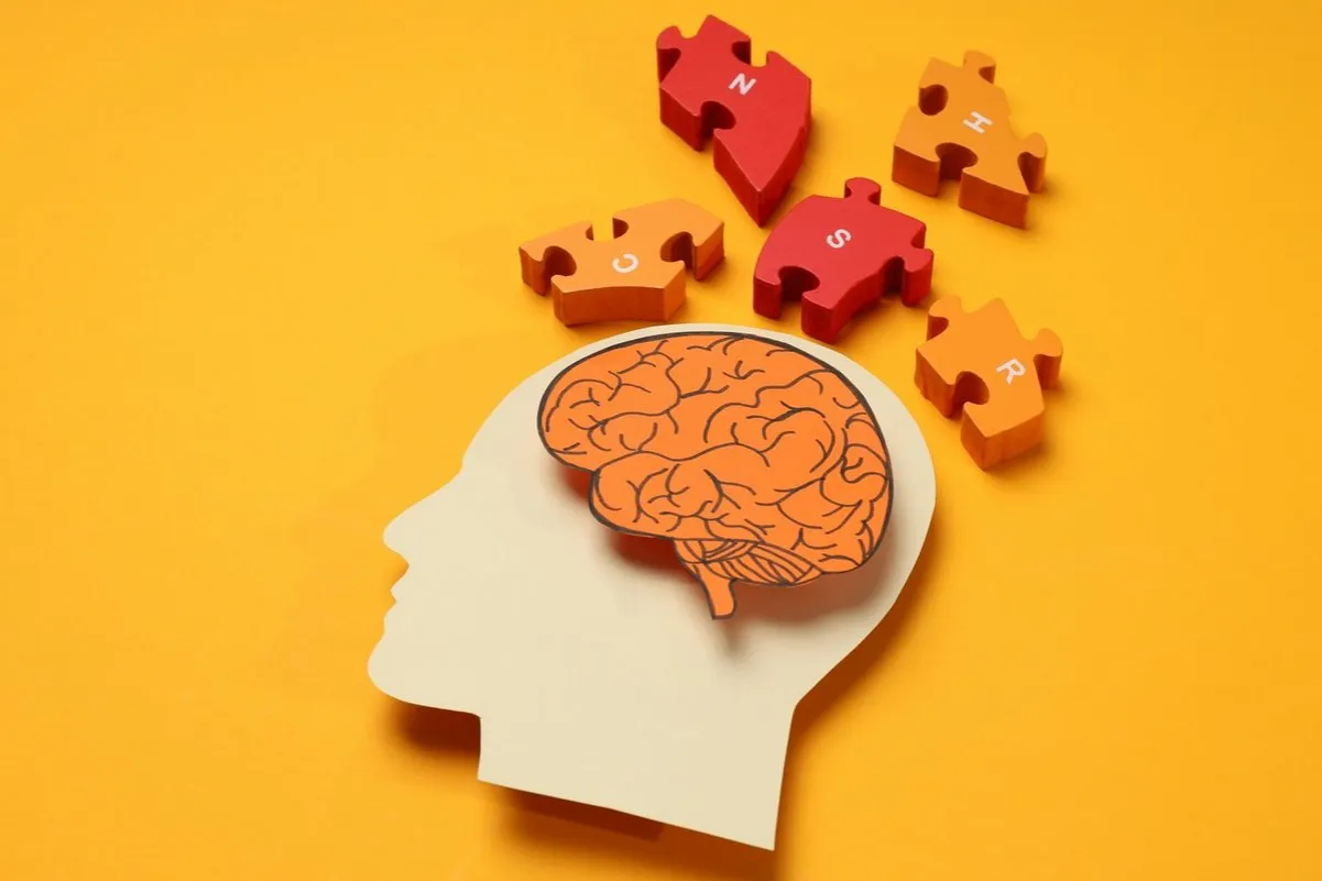 Neuroplastyczność mózgu i zmiana osobowości