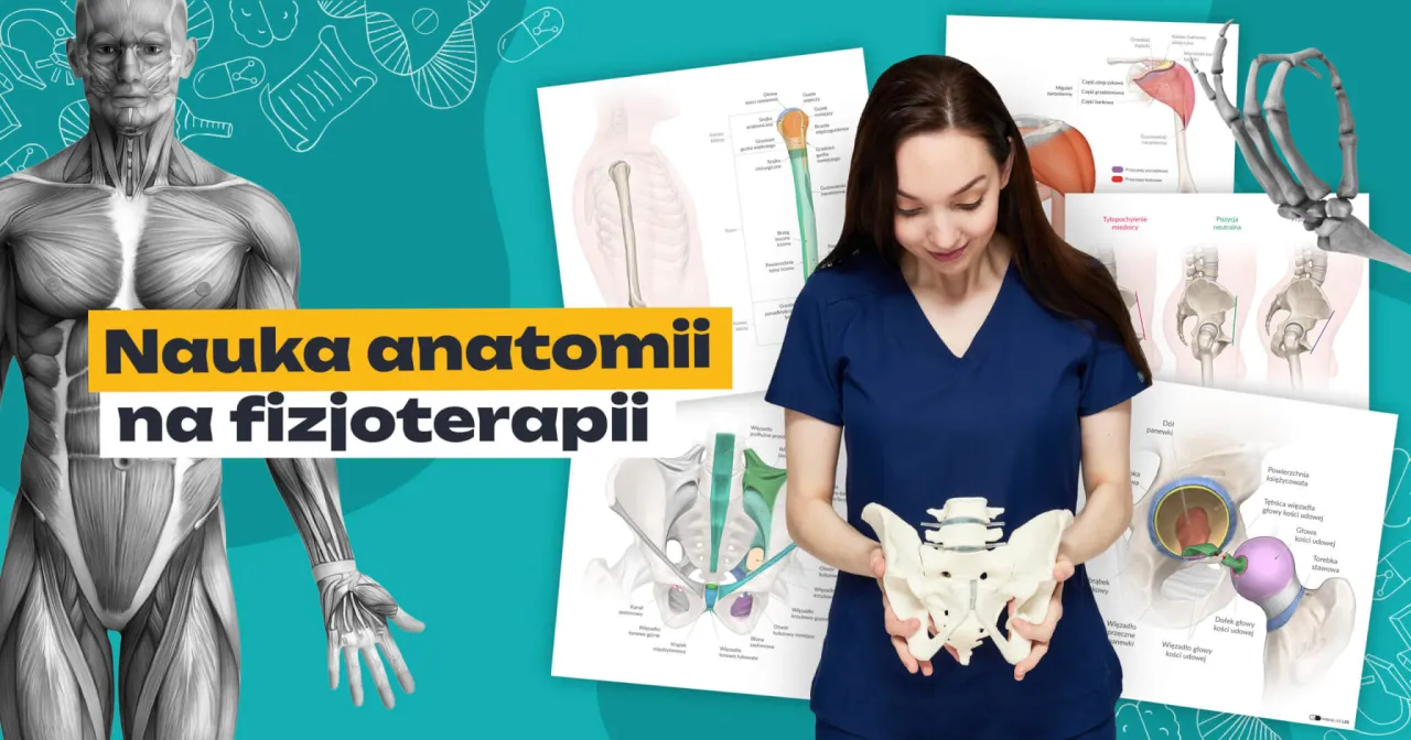 Studentka fizjoterapii uczy się anatomii