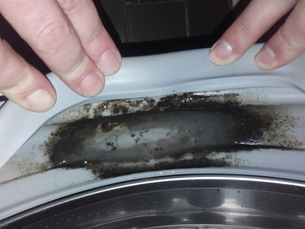 brudny kołnierz pralki pleśń