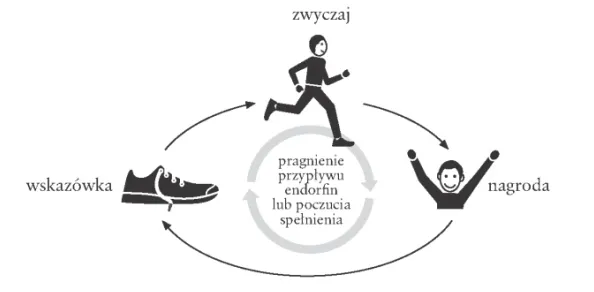 infografika lub prosty schemat pętli nawyku: bodziec, pragnienie, reakcja, nagroda