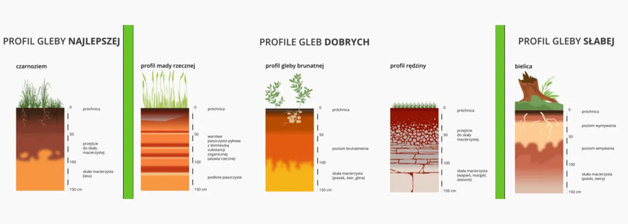 Zdjęcie Najżyźniejsza gleba - czarnoziem kluczem do obfitych plonów