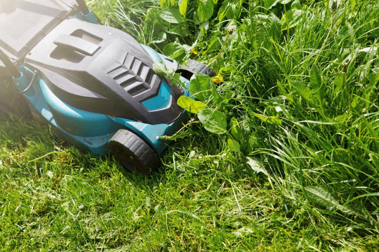 rodzaje kosiarek por&oacute;wnanie