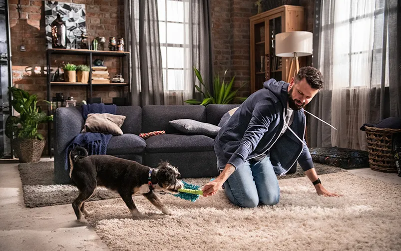 szczeniak zabawa właściciel