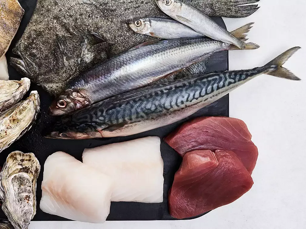 r&oacute;żne gatunki ryb na ladzie, świeże ryby w sklepie