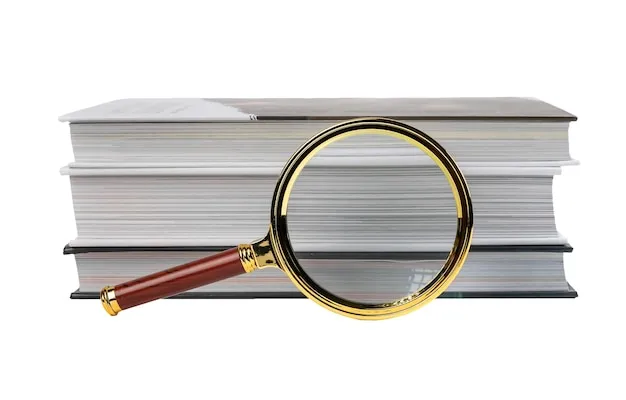 analiza książki lupa