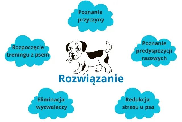 szczeniak szczeka radość strach uwaga