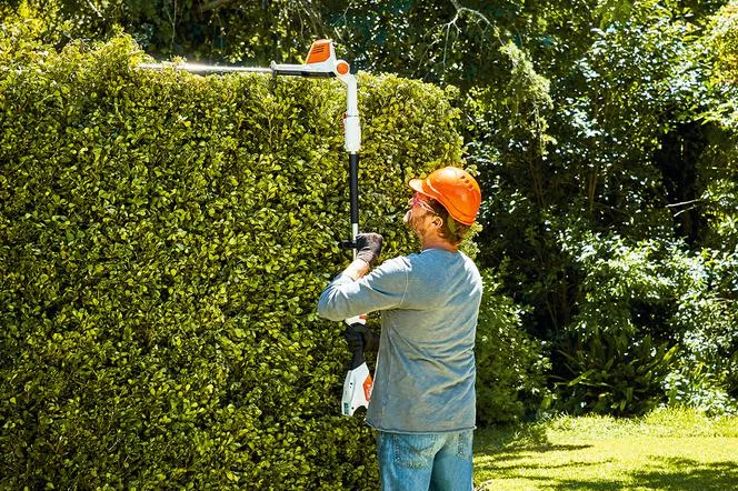 narzędzia do przycinania tui