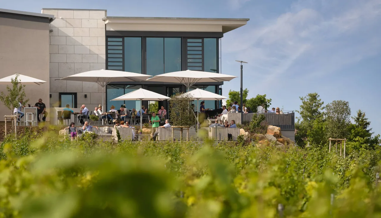 Vinothek Winzergenossenschaft Herxheim am Berg
