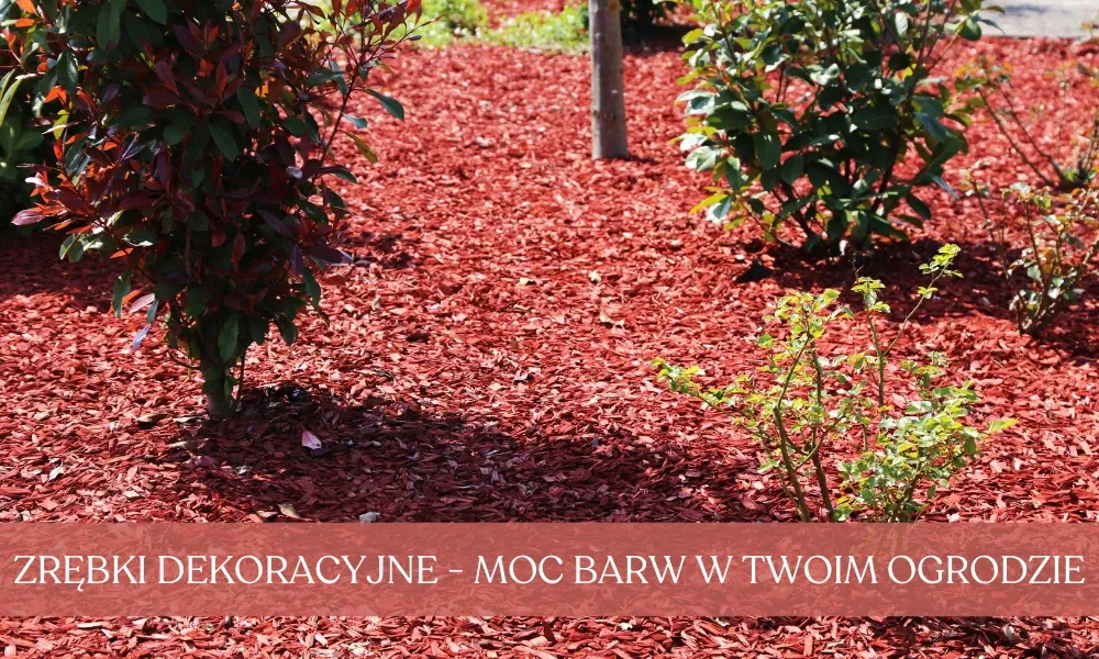 r&oacute;żne rodzaje mulczu dekoracyjnego zrębki kamień