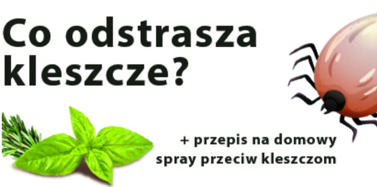 domowy spray na kleszcze przepis
