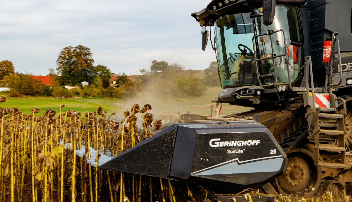 Zbiory słonecznika kombajnem