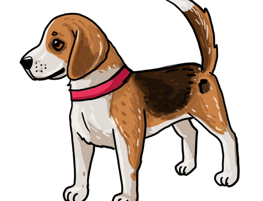 Einfache Zeichnungen von Dackel Mops Beagle