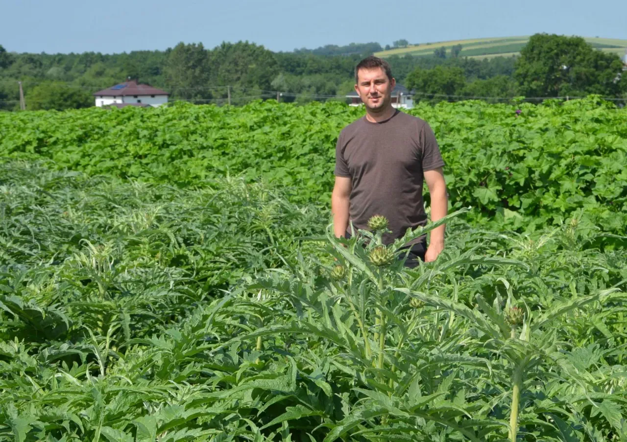 najbardziej dochodowe zioła uprawne w Polsce