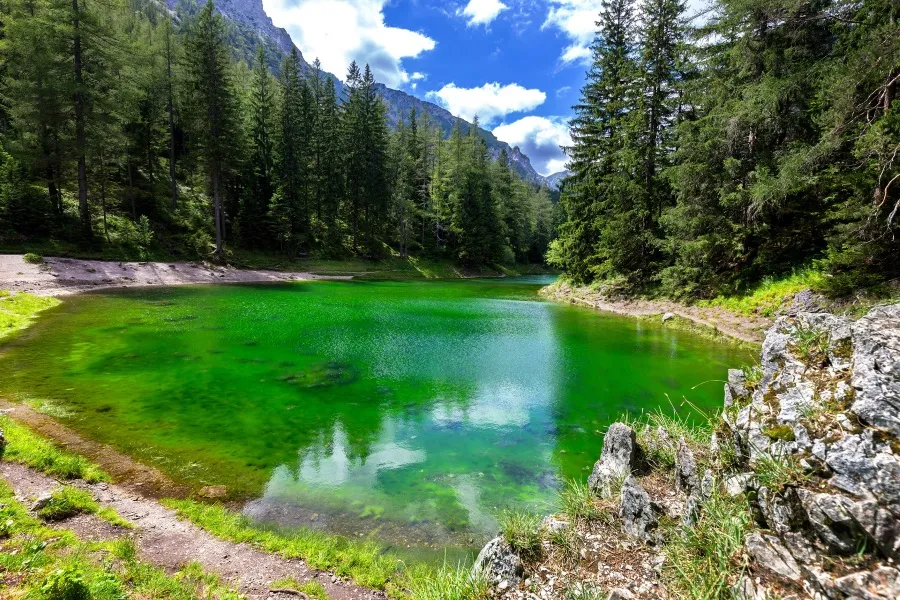 Gr&uuml;ner See Steiermark Unterwasserlandschaft
