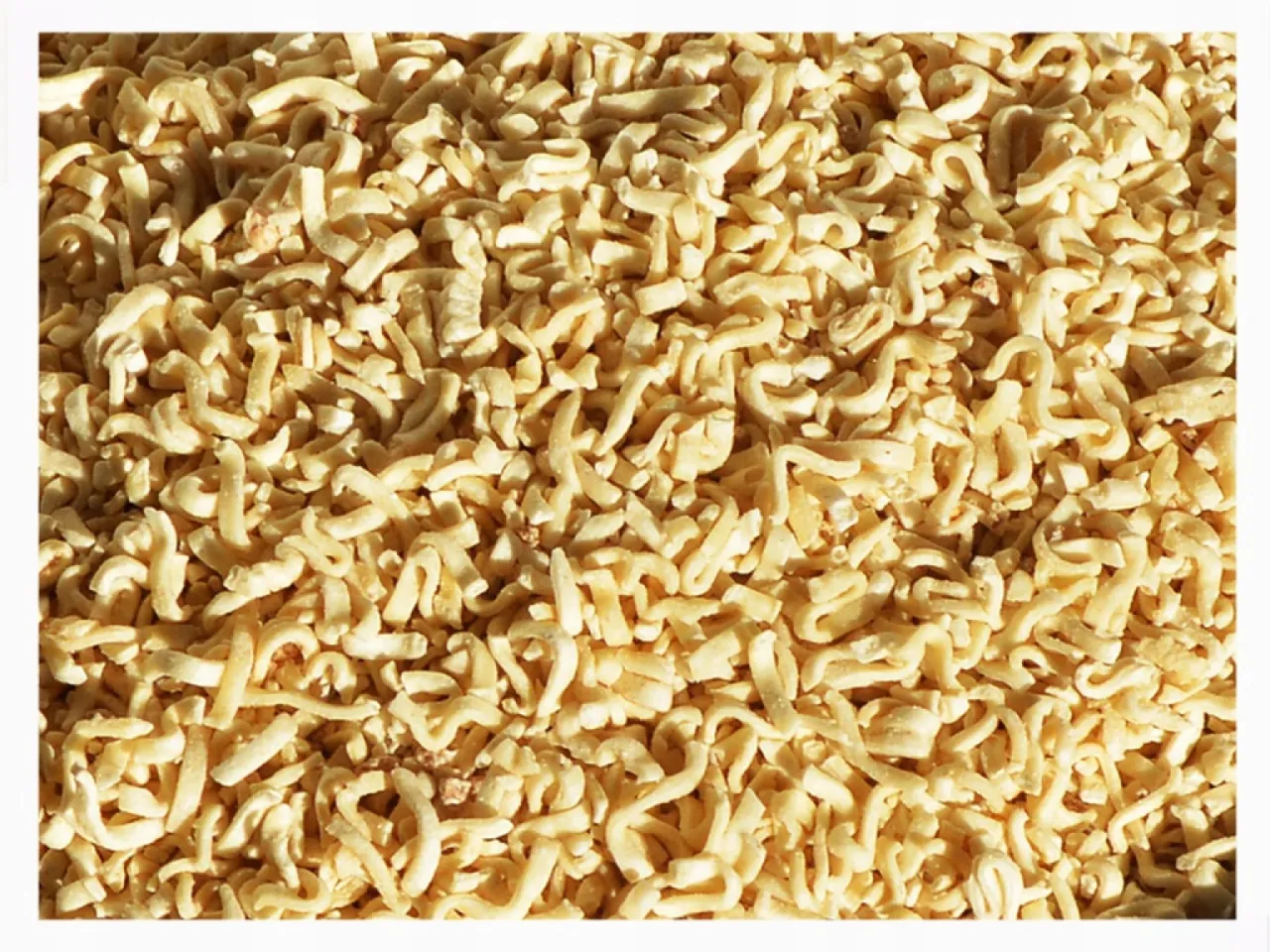 Gotowany makaron dla psa bez dodatk&oacute;w