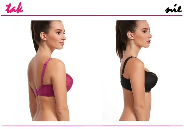 brafitting jak dobrać biustonosz duży biust