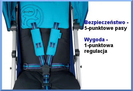 Zdjęcie Pasy bezpieczeństwa z tyłu - dlaczego warto je zapinać?