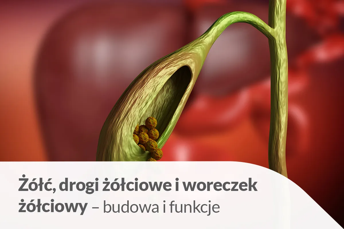 Zdjęcie Jakie badania krwi na woreczek żółciowy mogą ujawnić poważne problemy?